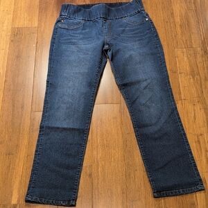 Liverpool Jeans Company Jillian Pull-On Straight Leg Jeans